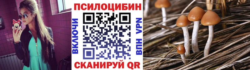 Галлюциногенные грибы прущие грибы  Лесосибирск 