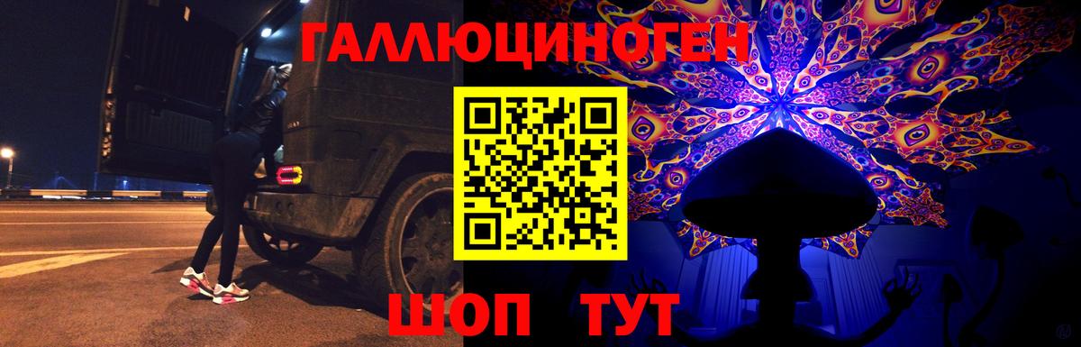 Лесосибирск  как найти   Вход с VPN  Псилоцибиновые грибы мицелий 
